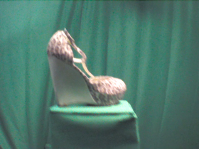 270 Degrees _ Picture 9 _ Leopard Print Wedge Heel.png